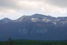 DSC1 (85).jpg
